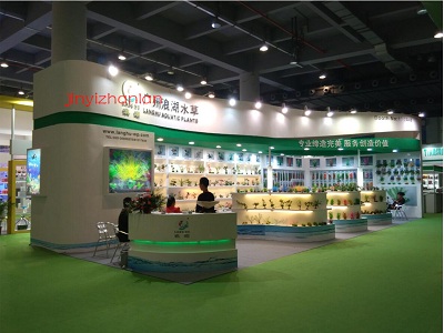 popular-products